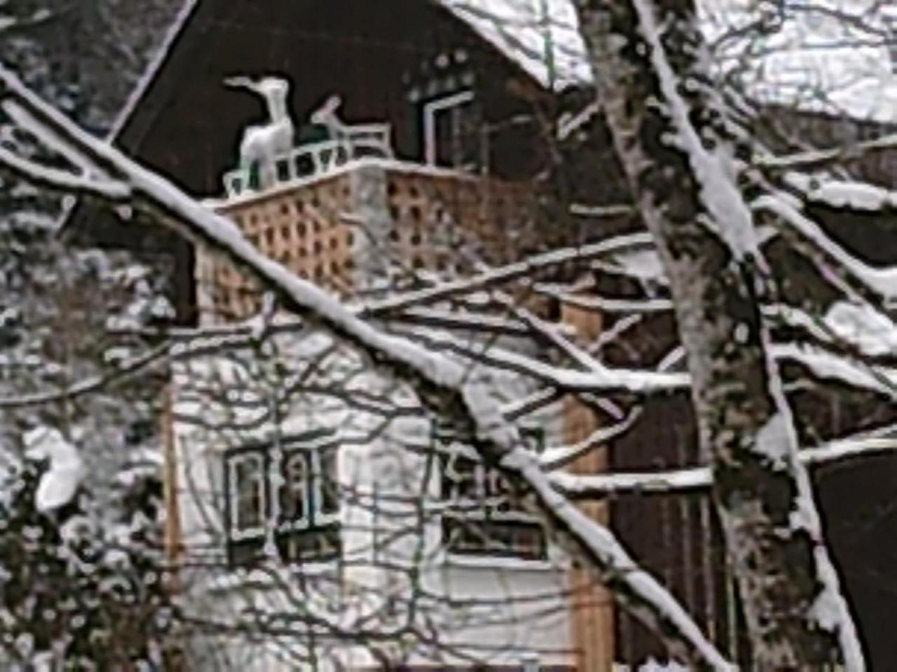 Georges Rast Altaussee Exterior foto