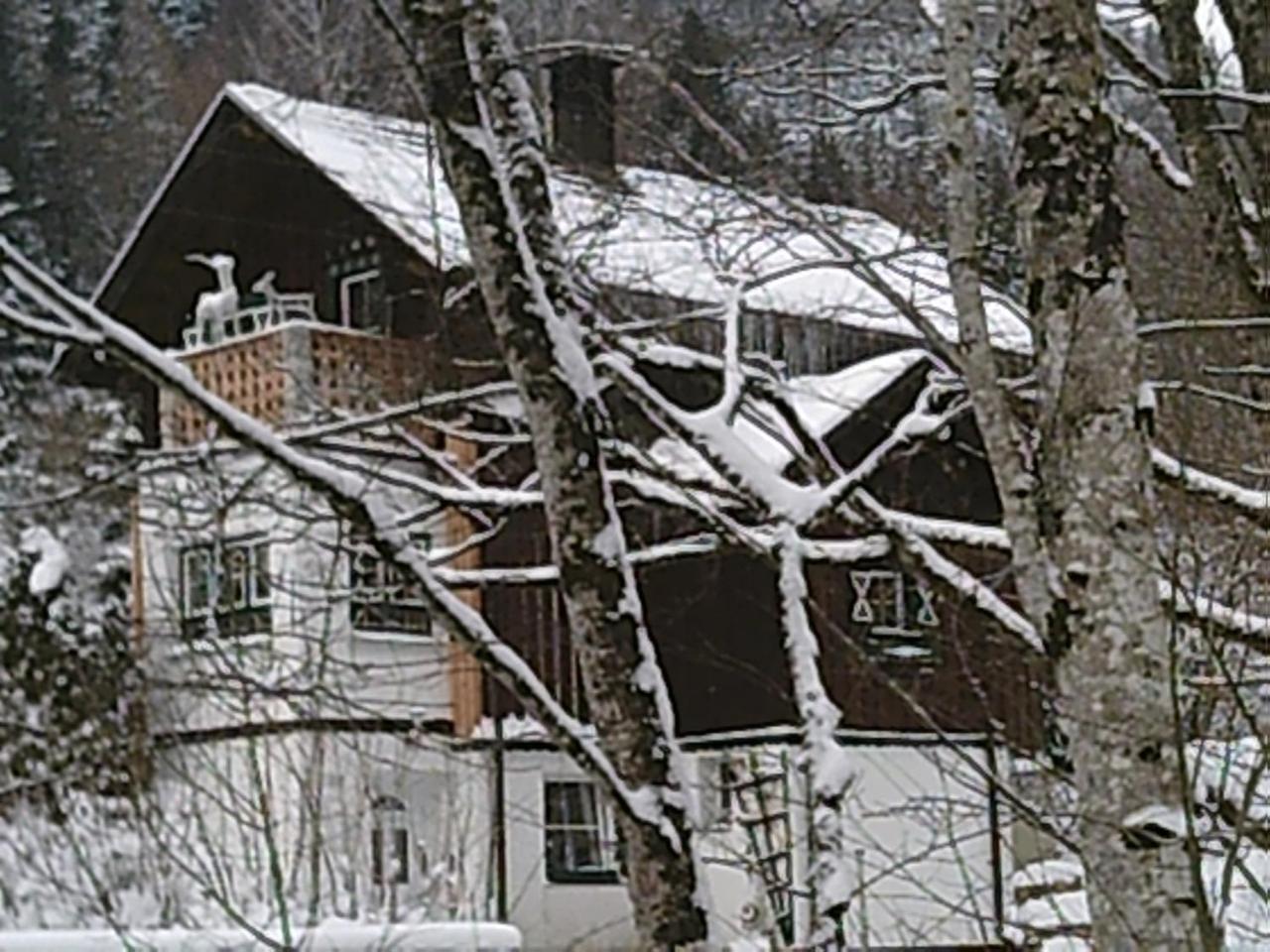 Georges Rast Altaussee Exterior foto