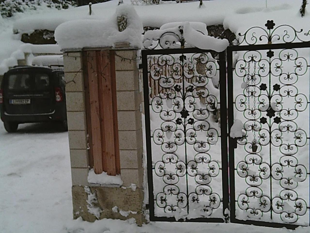 Georges Rast Altaussee Exterior foto