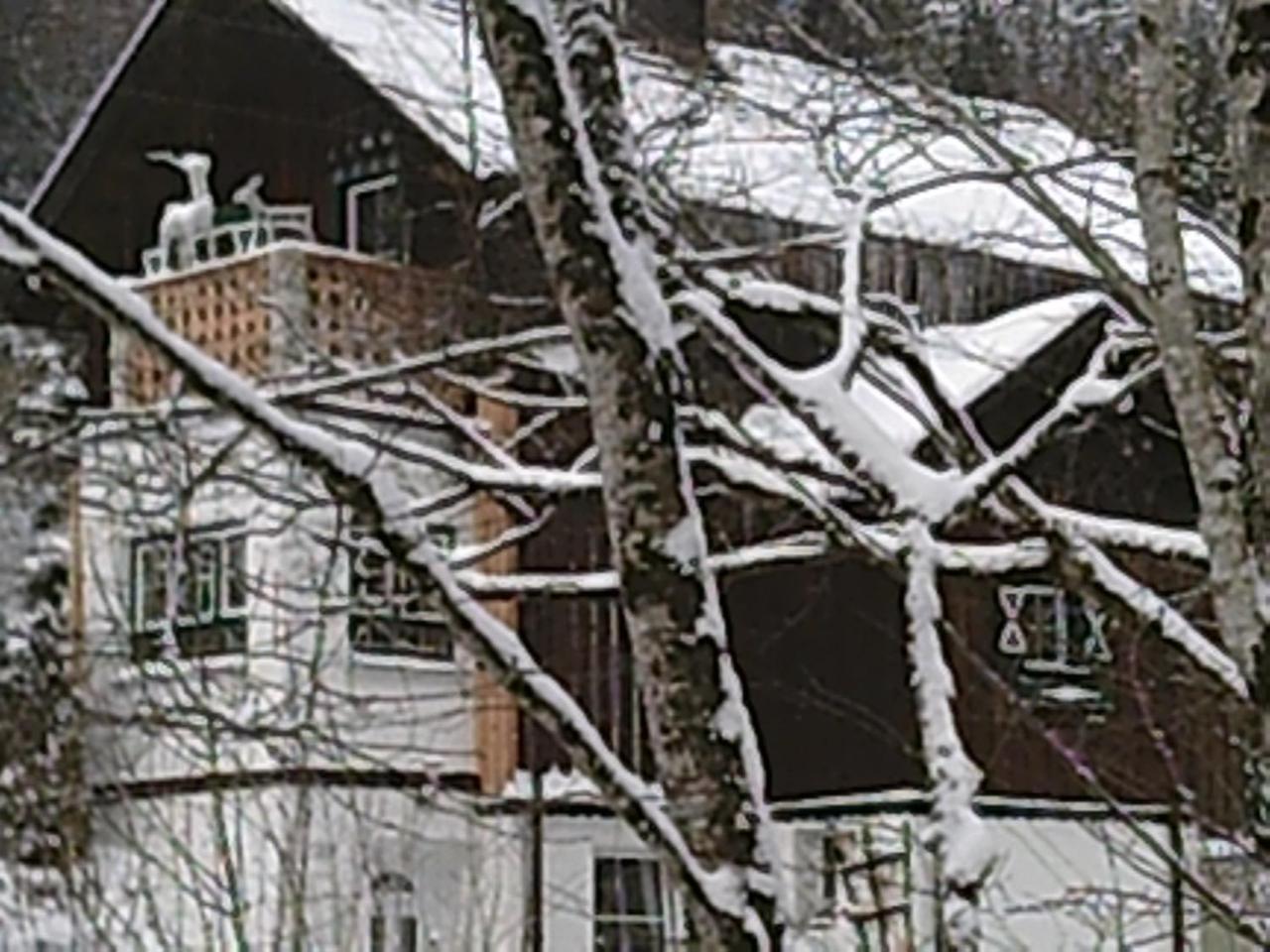 Georges Rast Altaussee Exterior foto